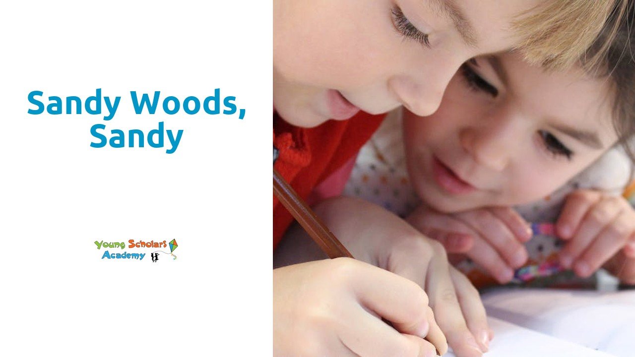 Sandy Woods Sandy Young Scholars Academy sandy-woods-sandy-young-scholars-academy